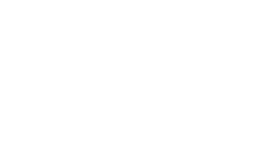 VR Scout Logo